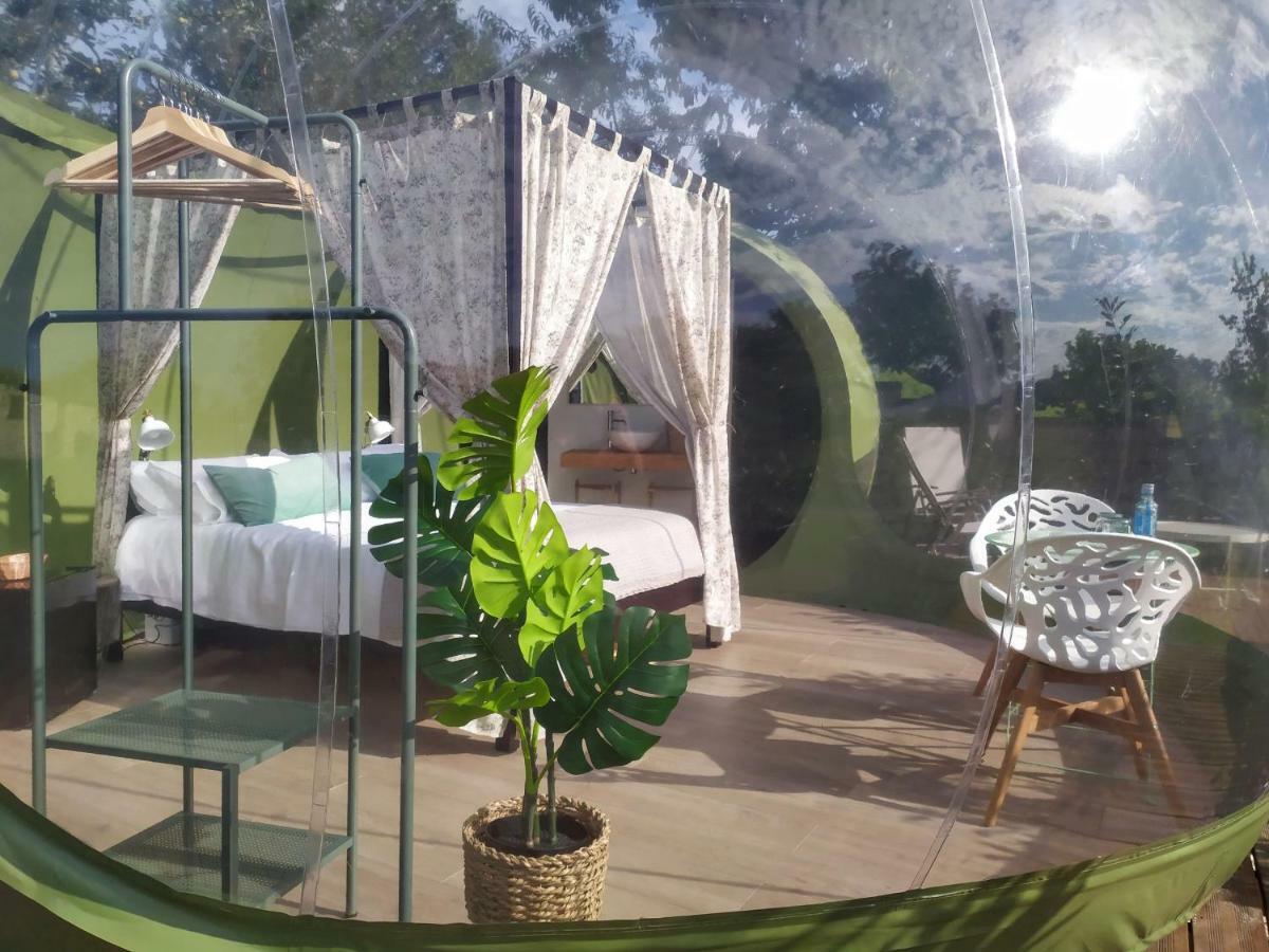 Remanso De Trasfontao Casa Das Arbores & Bubble Silleda Zewnętrze zdjęcie