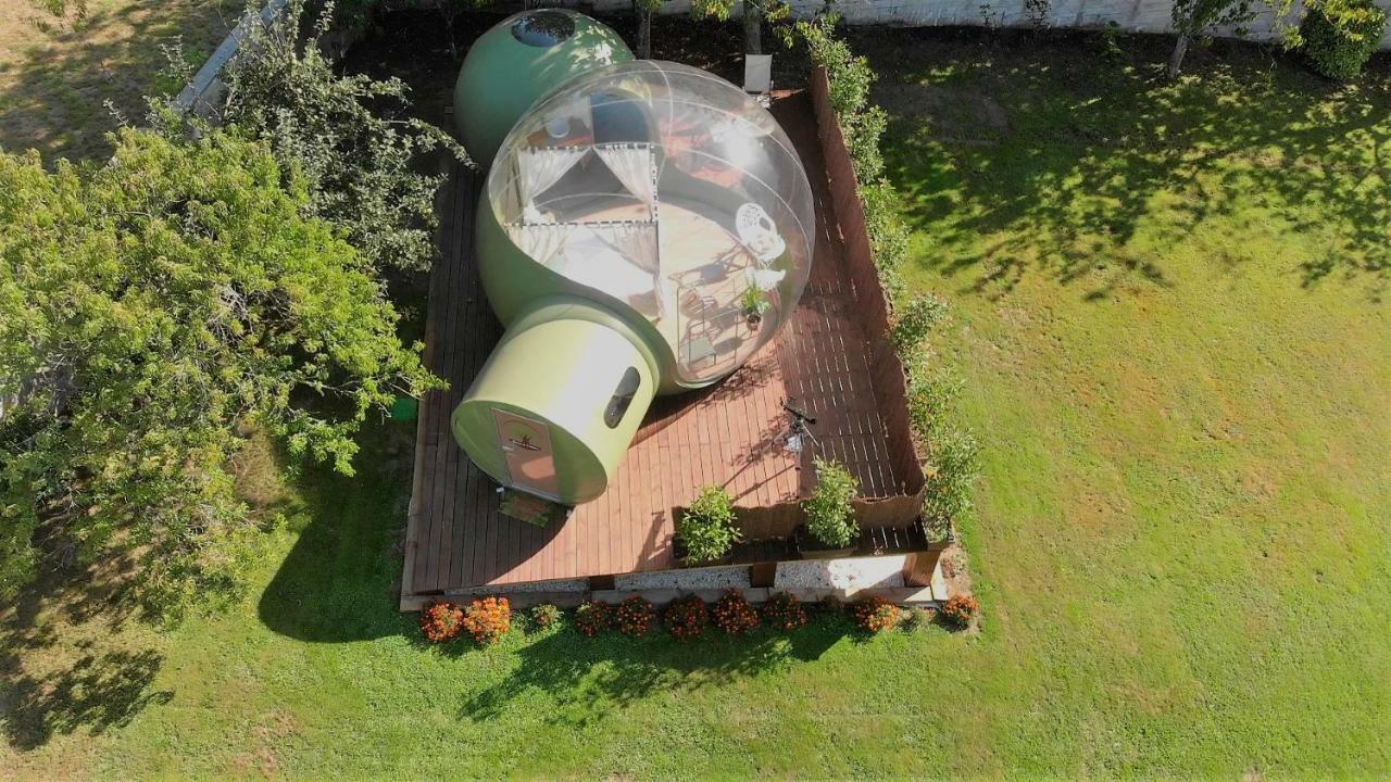 Remanso De Trasfontao Casa Das Arbores & Bubble Silleda Zewnętrze zdjęcie