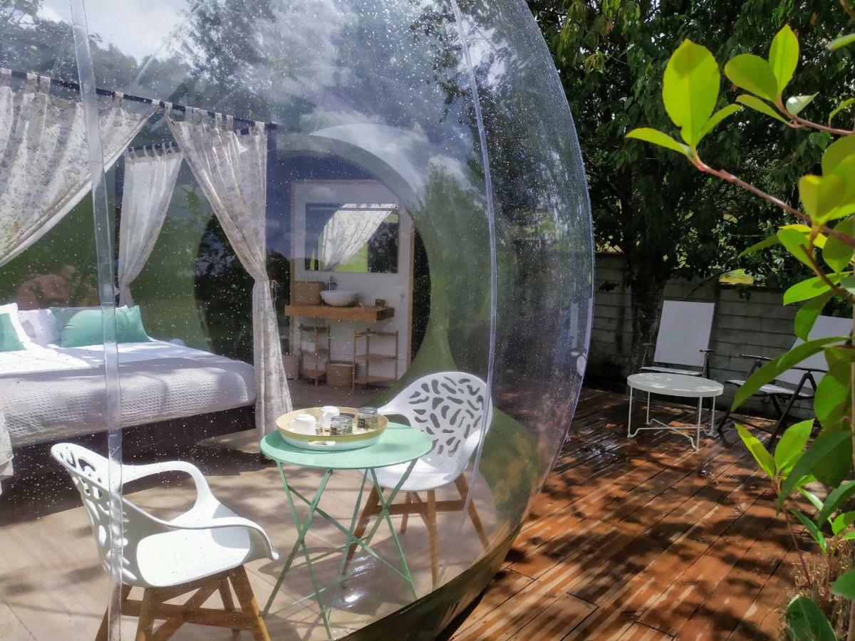 Remanso De Trasfontao Casa Das Arbores & Bubble Silleda Zewnętrze zdjęcie